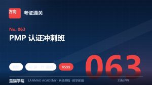 PMP 认证冲刺班