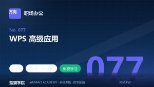 WPS 高级应用